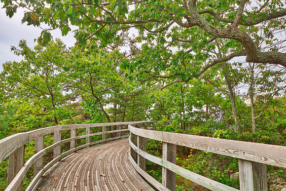Boardwalk Storybook Trail
