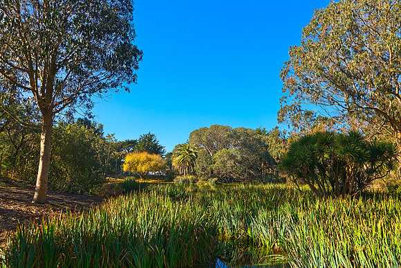 Zoo Marsh