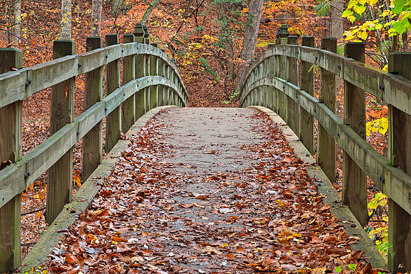 Bridge to Fall