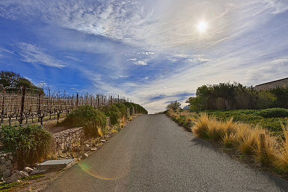 Sonoma Country Road