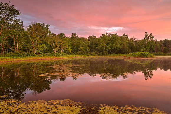 Pink Twilight Marsh