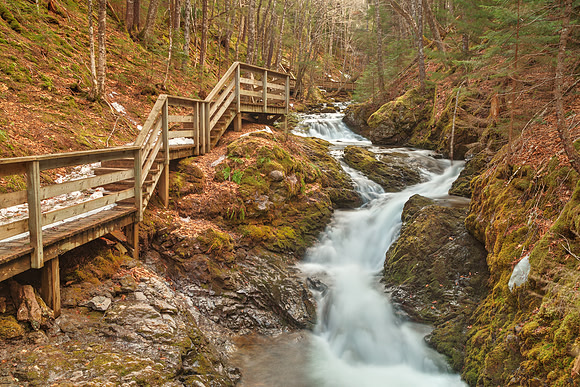 Centipede Step Falls
