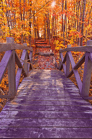 Bridge to Fall Fantasy