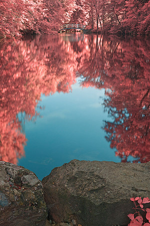 Jean-Drapeau Love Pond