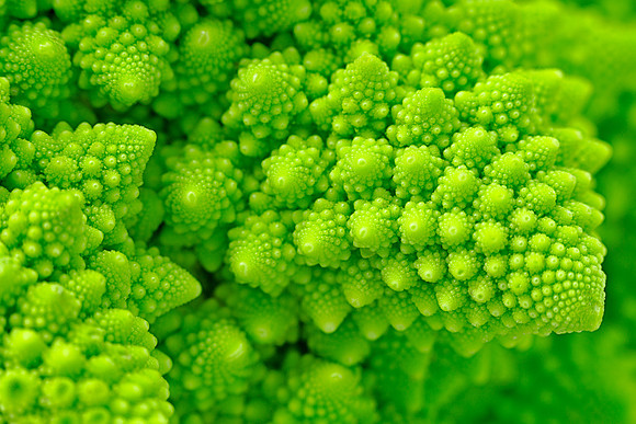 Broccosaurus