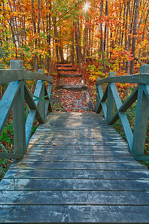 Bridge to Fall