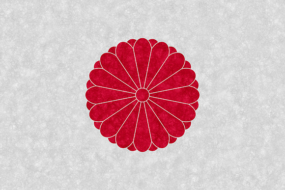 Velvet Flag - Japan Chrysanthemum