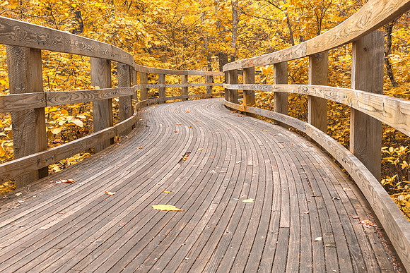 Gold Storybook Trail