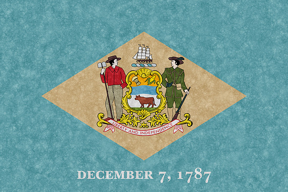 Velvet Flag - Delaware