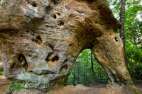 Horse Spirit Arch