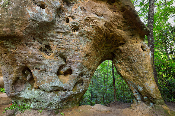 Horse Spirit Arch