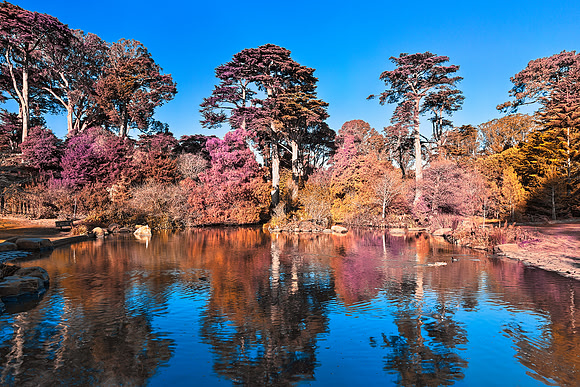Pastel Pondscape