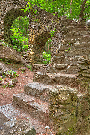 Forest Castle Ruins