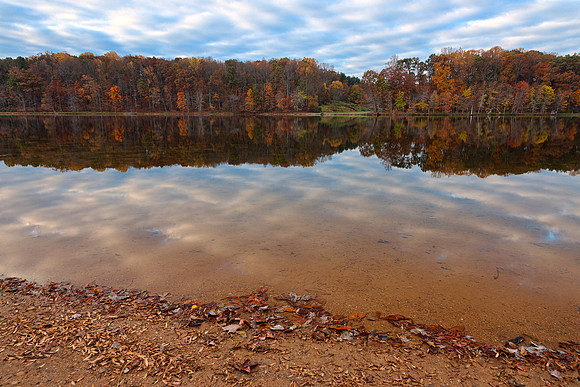 Seneca Fall Reflections