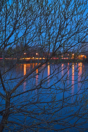 Budding Twilight Spring