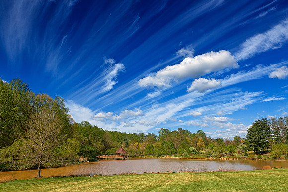 Meadowlark Cloud Gardens