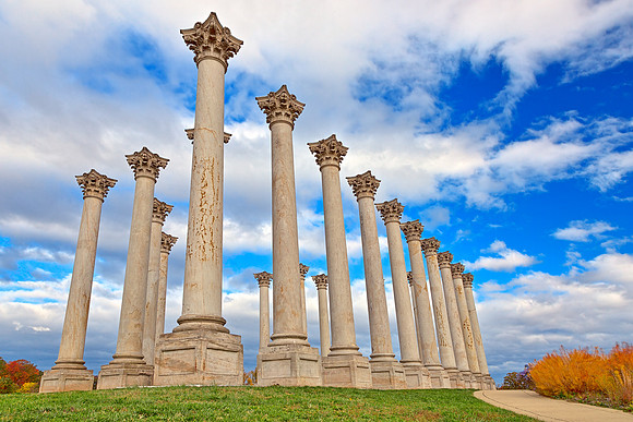 Capitol Arboretum Columns