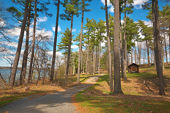 Wellesley Island Camping Trail
