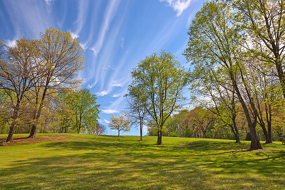 Meadowlark Sky Gardens