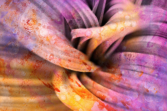 Acrylic Veratrum Macro
