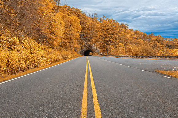 Shenandoah Skyline Drive - Autumn Gold