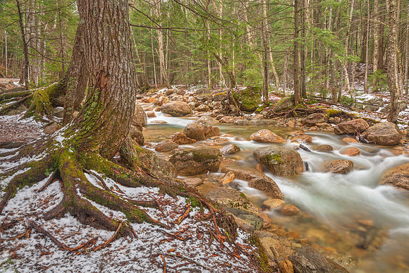 Sabbaday Winter Brook