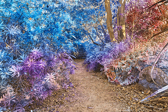 Fairy Tale Trail