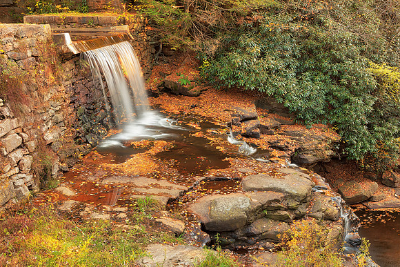 Autumn Saylorsville Dam