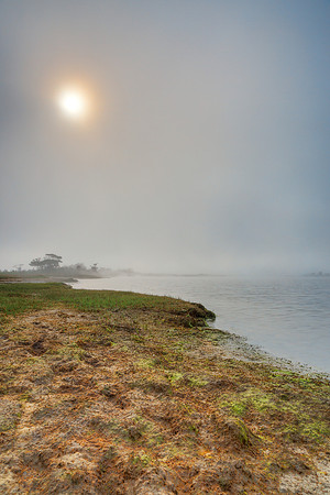 Misty Sun Kissed Marsh