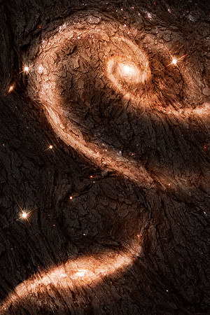 Dark Wood Energy