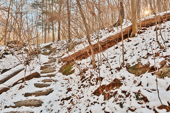 Winter Sun Step Trail
