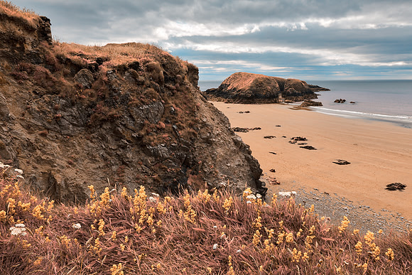 Rugged Irish Wildflower Coast - Pastel Fantasy