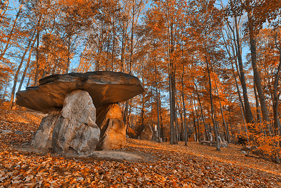 Amber Dolmen Forest