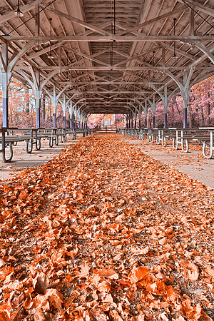 North Point Trolley Pavilion - Pastel Fantasy