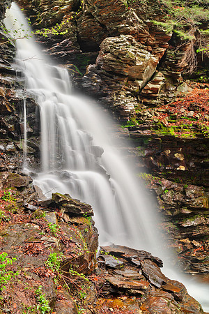 Ozone Profile Falls