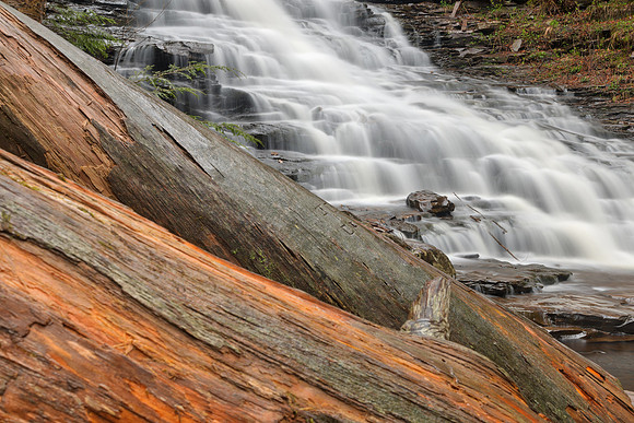F.L. Ricketts Log Falls
