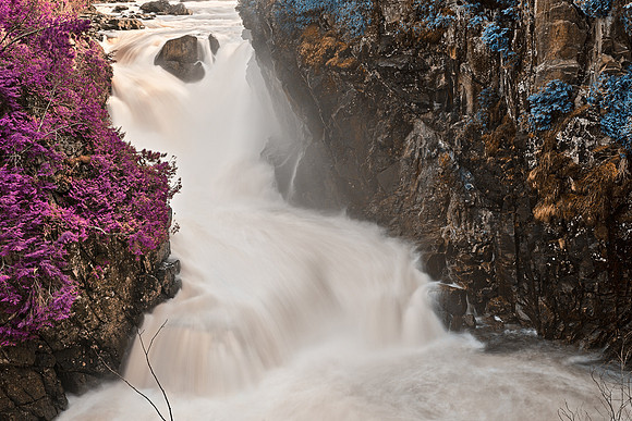 Passion Falls