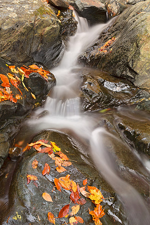 Glen Artney Stream