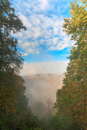 Misty Mountain oVerlook
