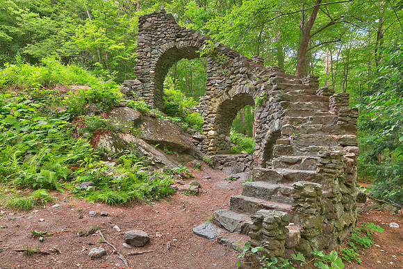 Forest Castle Ruins