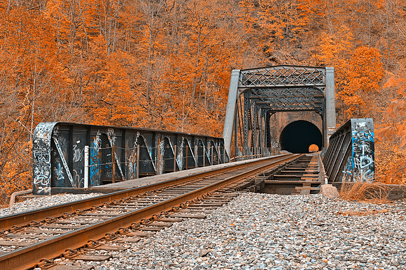 Graffiti Train Track - Amber Autumn