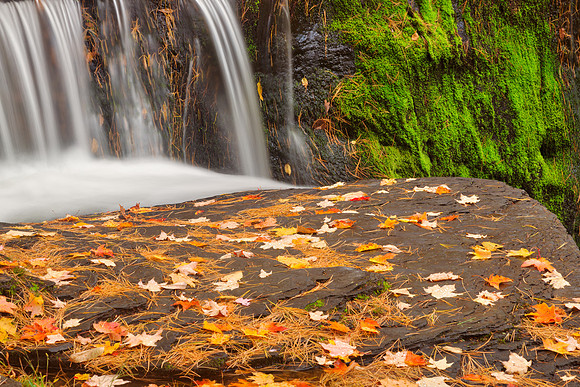 Autumn Moss Factory Falls