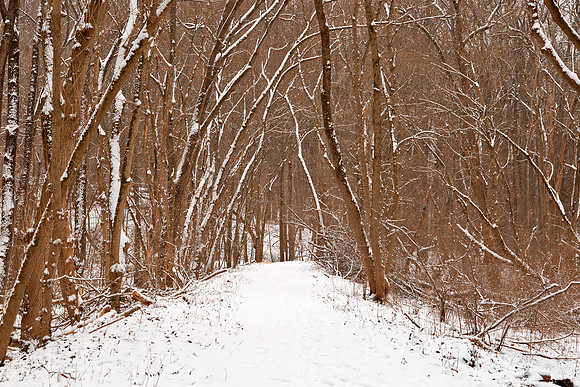 Winter Forest Tipi Trail