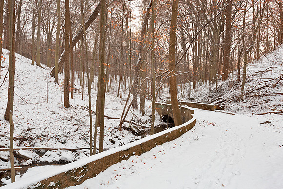 Rustic Winter Bridge Trail