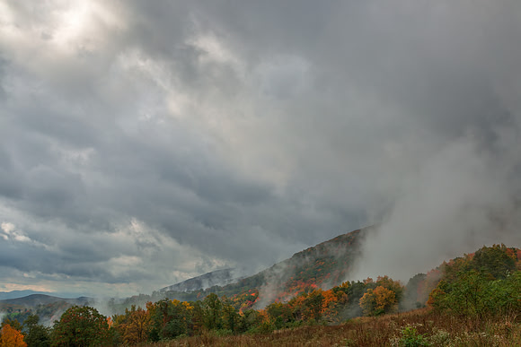 Dolly Sods Mountain Fog