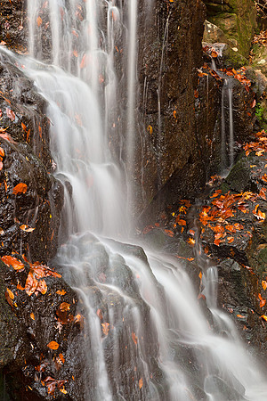 Avalon Falls