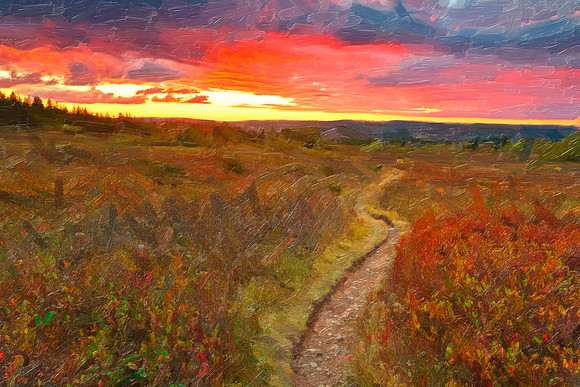 Photo Synthesis - Twilight Oil Impressions of Dolly Sods