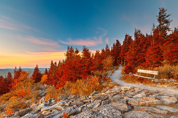 Spruce Knob Twilight Trail - Autumn Fantasy