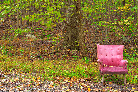 Abandoned Forest Comfort