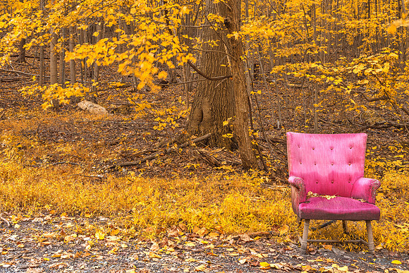 Abandoned Forest Comfort - Gold Decadent Fantasy